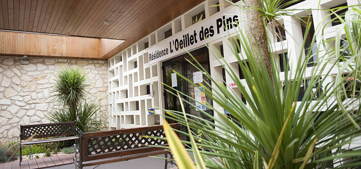 L'Oeillet des Pins