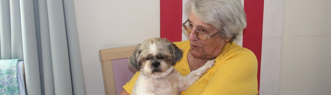 Rencontre avec SOS Animaux