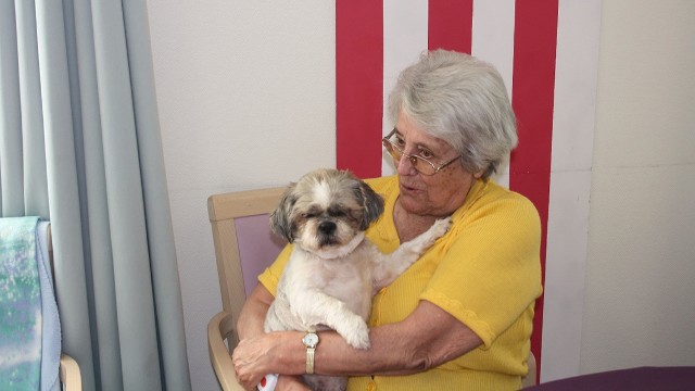 Rencontre avec SOS Animaux