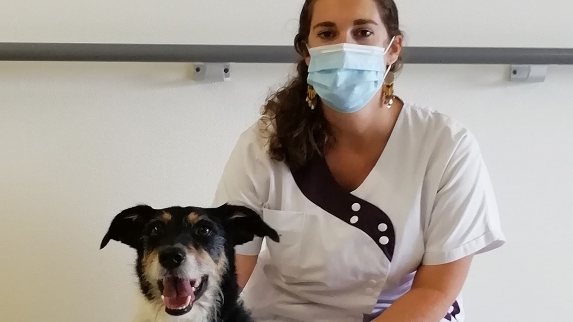 La médiation animale, un métier qui a du chien