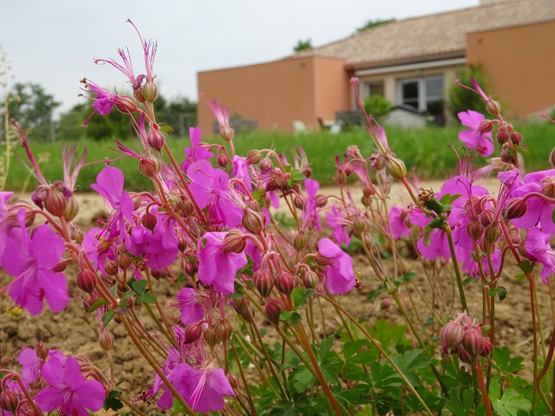 Inauguration du Jardin des Libellules à la résidence Richelot-Lassé de Luchapt