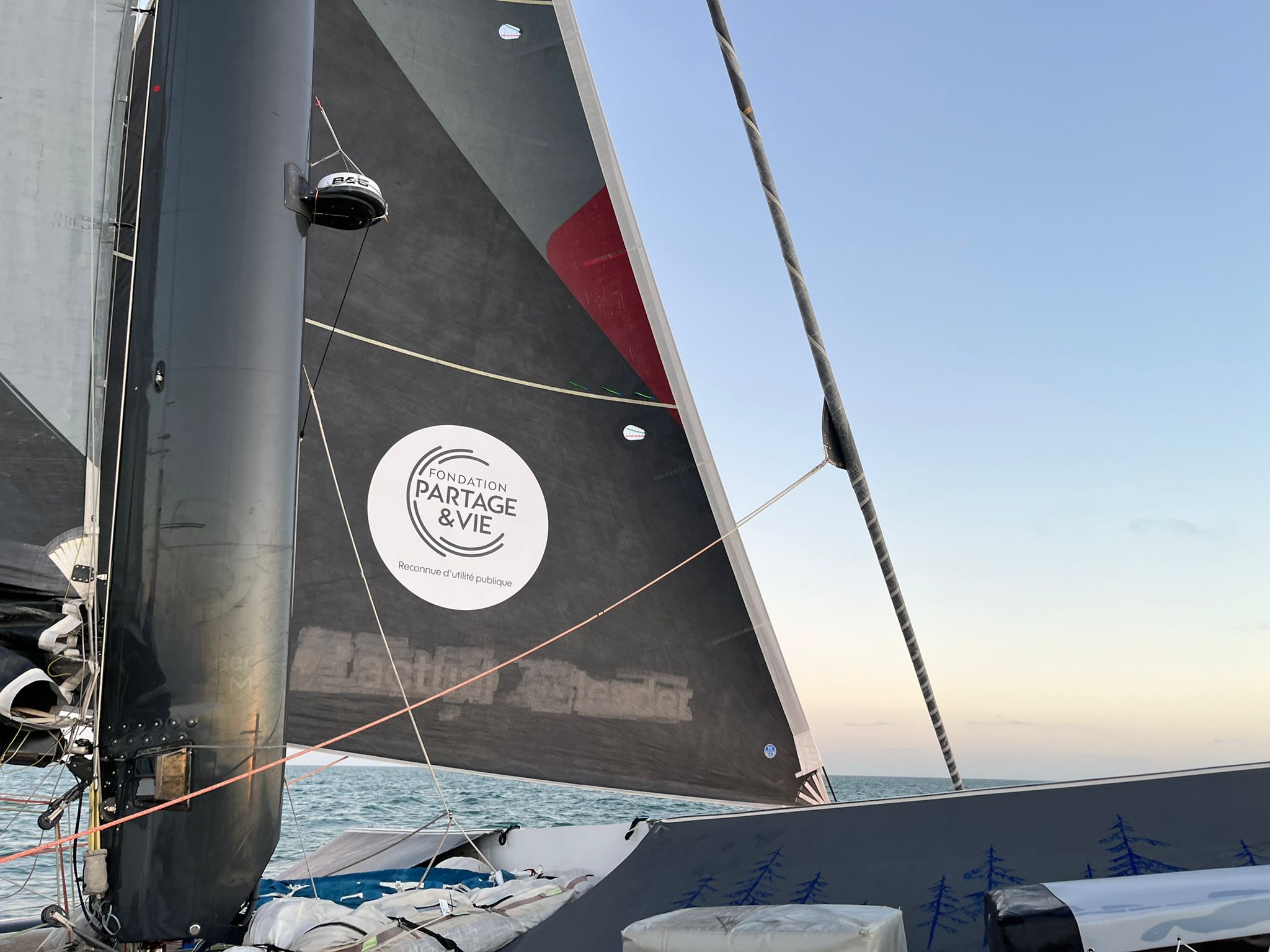  8 visuel voile avec logo image 6483441 1
