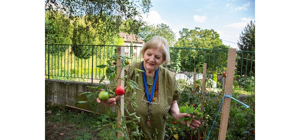 Les Tilleuls de Jeanne
