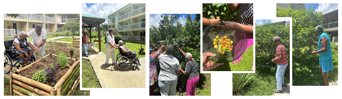 Aux Flamboyants : un jardin thérapeutique pour cultiver le bien-être