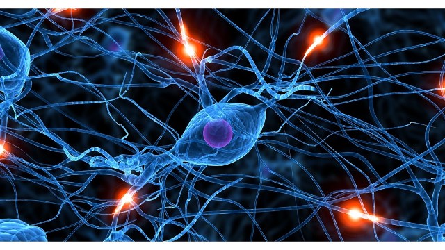 Parkinson : mieux comprendre pour mieux accompagner