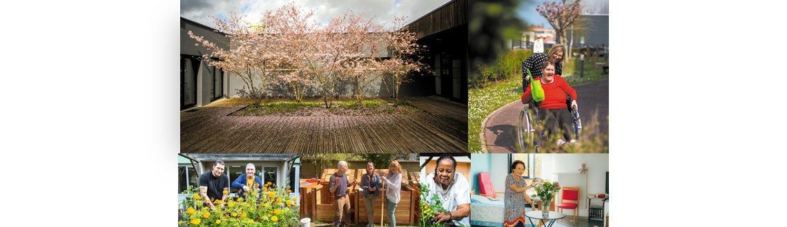 Démarche RSE : une année d’actions