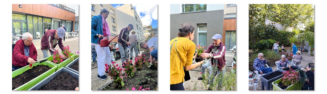 Jardin potager : cultiver le lien avec la terre à l’EHPAD Les Vignes