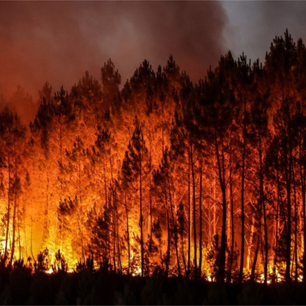 Solidarité face aux flammes