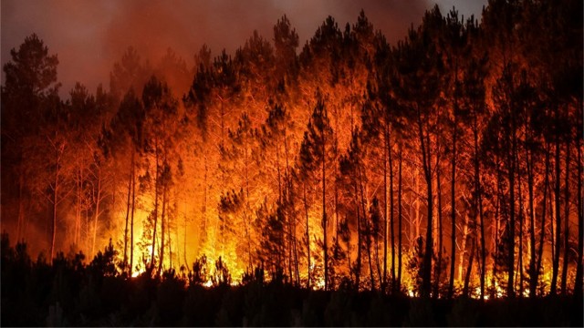 Solidarité face aux flammes
