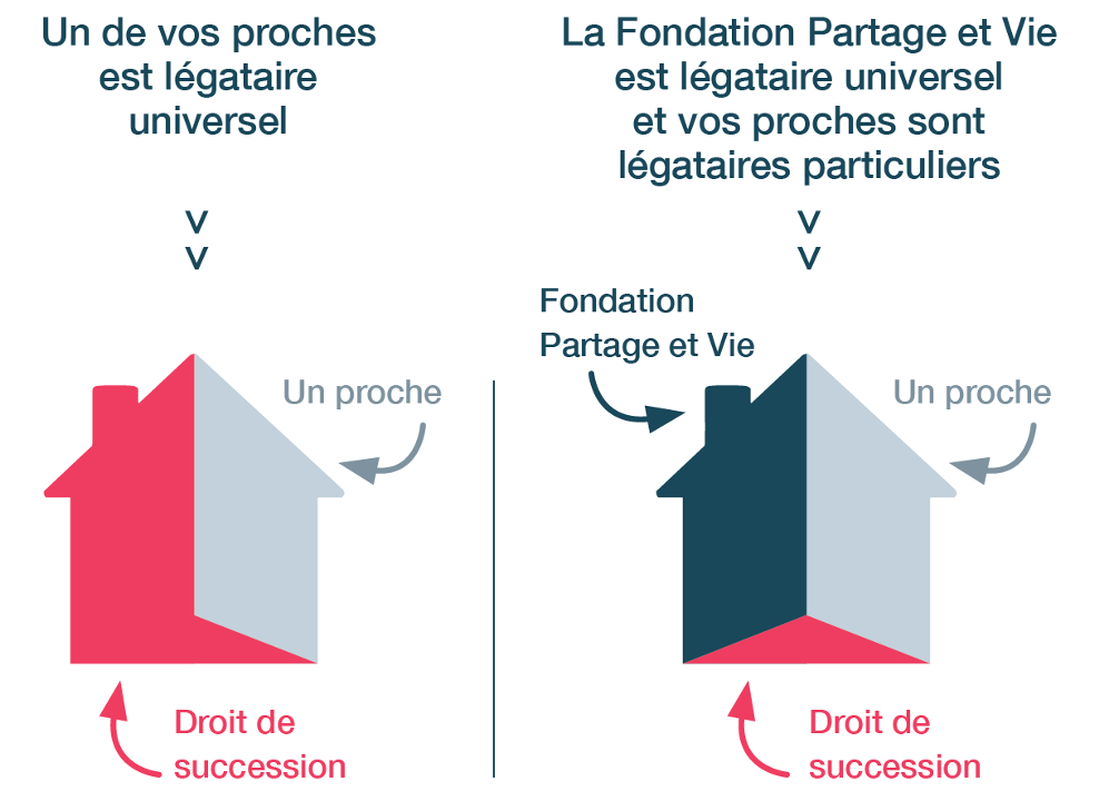 mceclip0 - 2026-01-08 11h26m09s